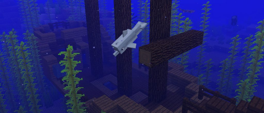 Minecraft Aquatic mise à jour update PS Vita