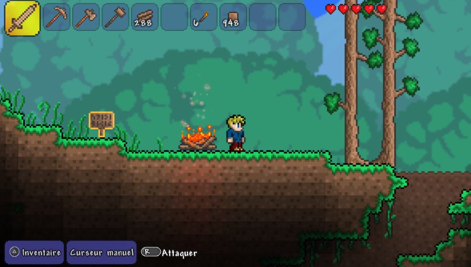 Terraria test PS Vita