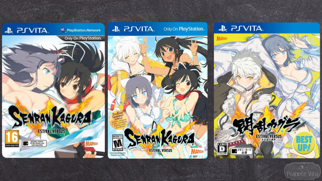 Senran Kagura Estival Versus