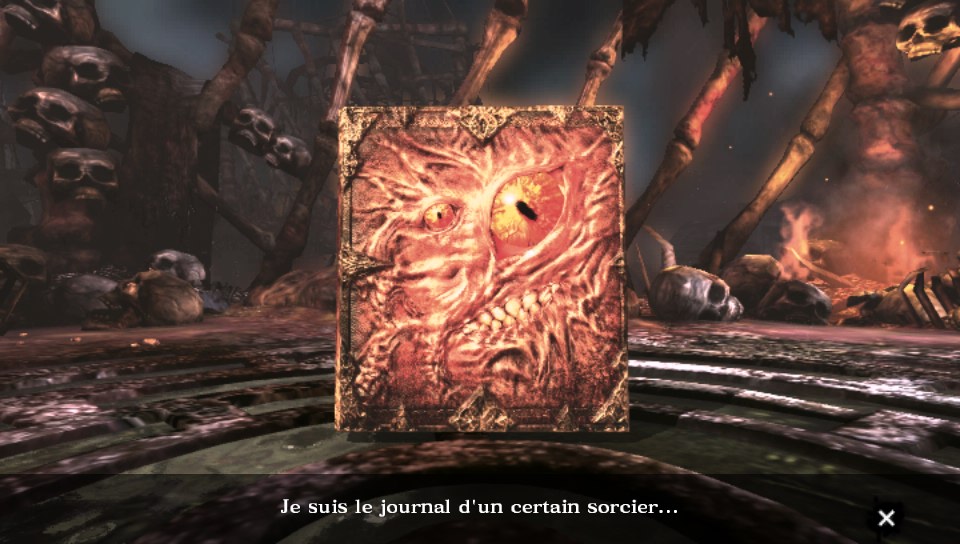 Le grimoire de Soul Sacrifice Delta